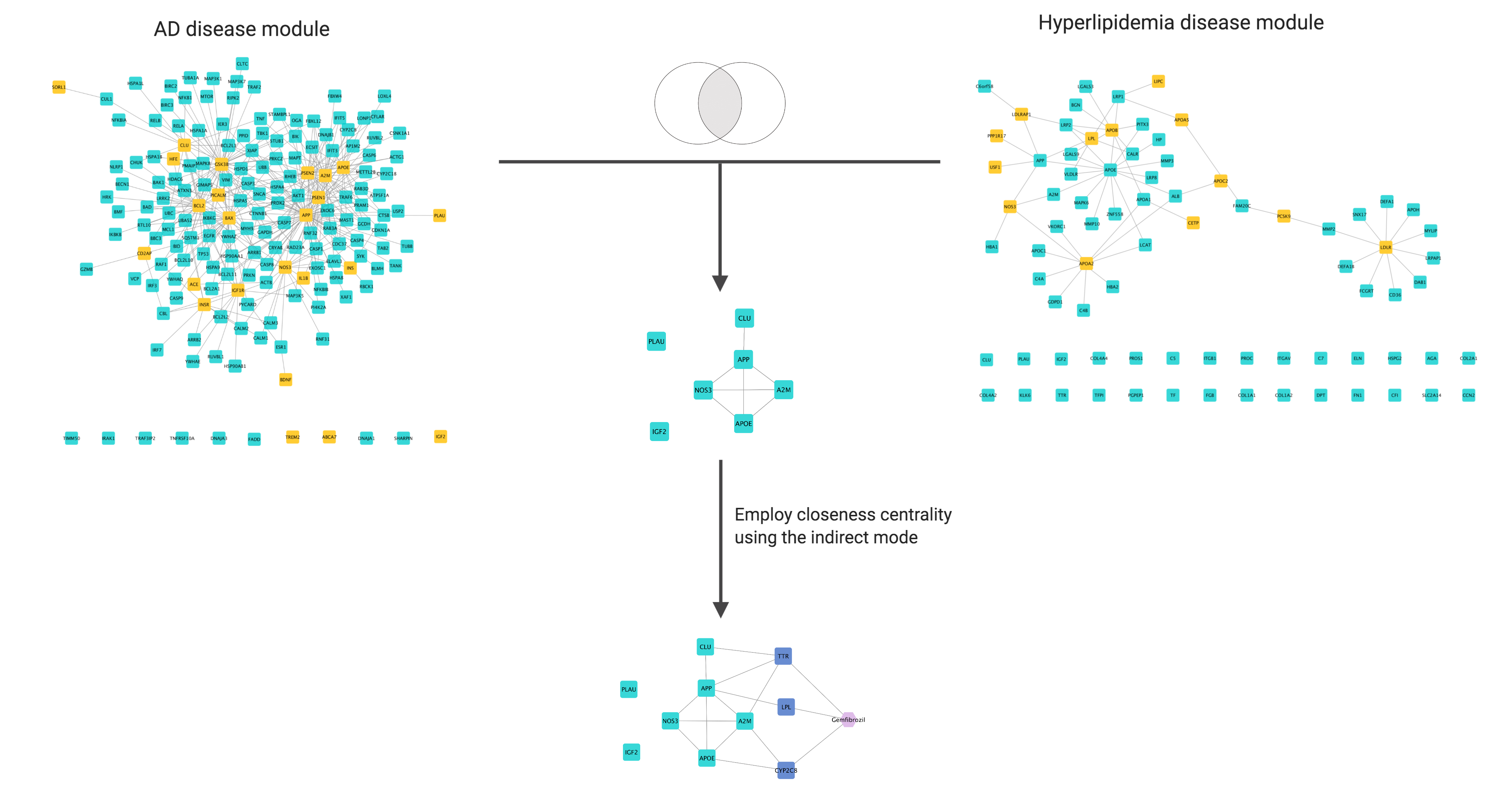 _images/AD-HyperLip_Diamond-intersection-Gemfibrozil-final.png