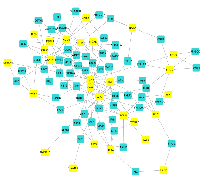 _images/use_case_2_connectorGenes.png